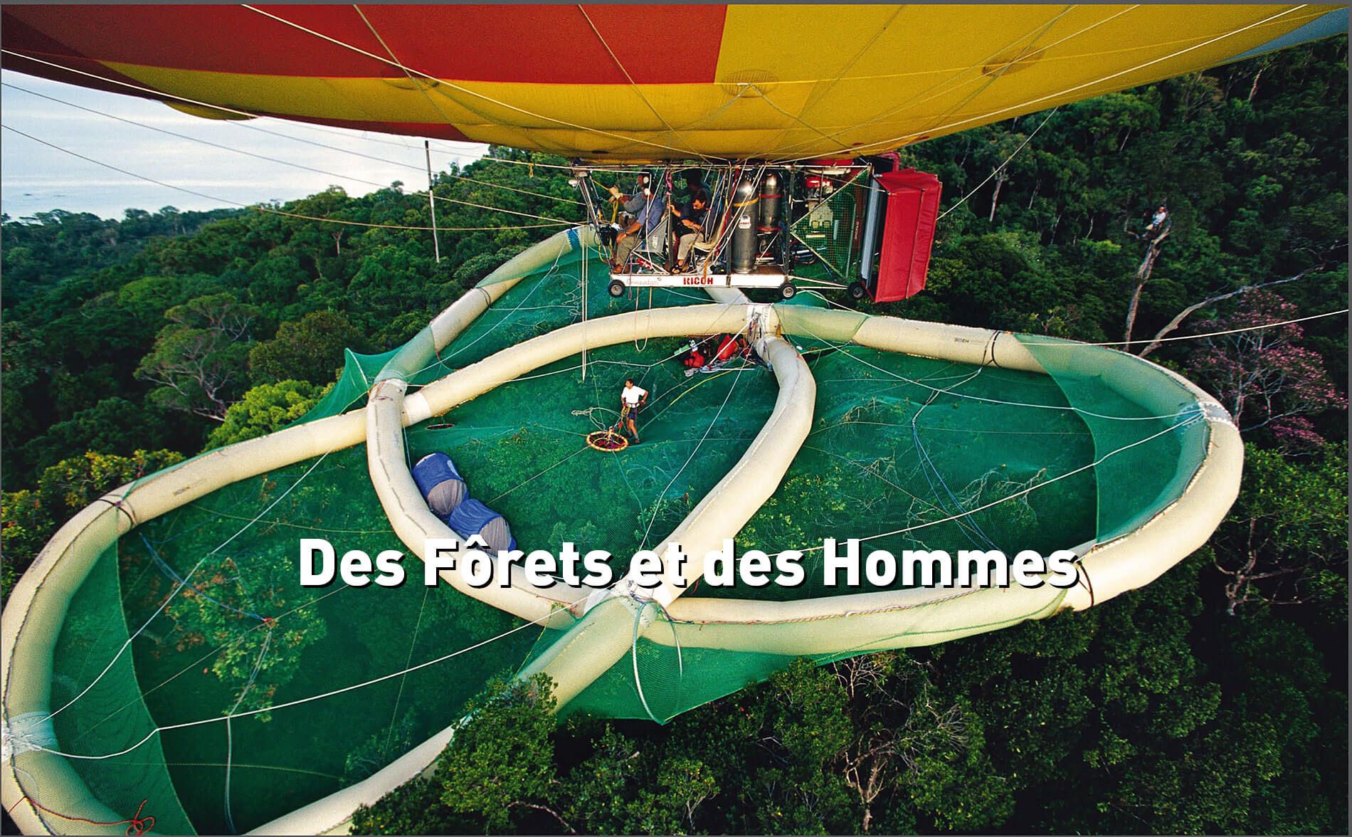 Documentaire des forêts et des Hommes