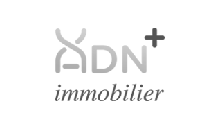 Création du logo et identité visuelle d'ADN+
