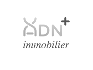 Création du logo et identité visuelle d'ADN+