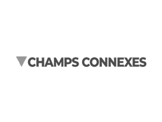Création site internet WordPress Champs Connexes